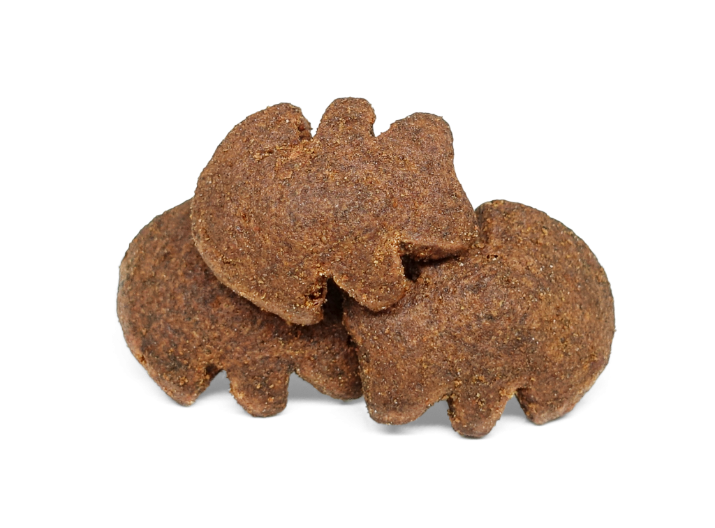 Verve_snack_crunchy salmon