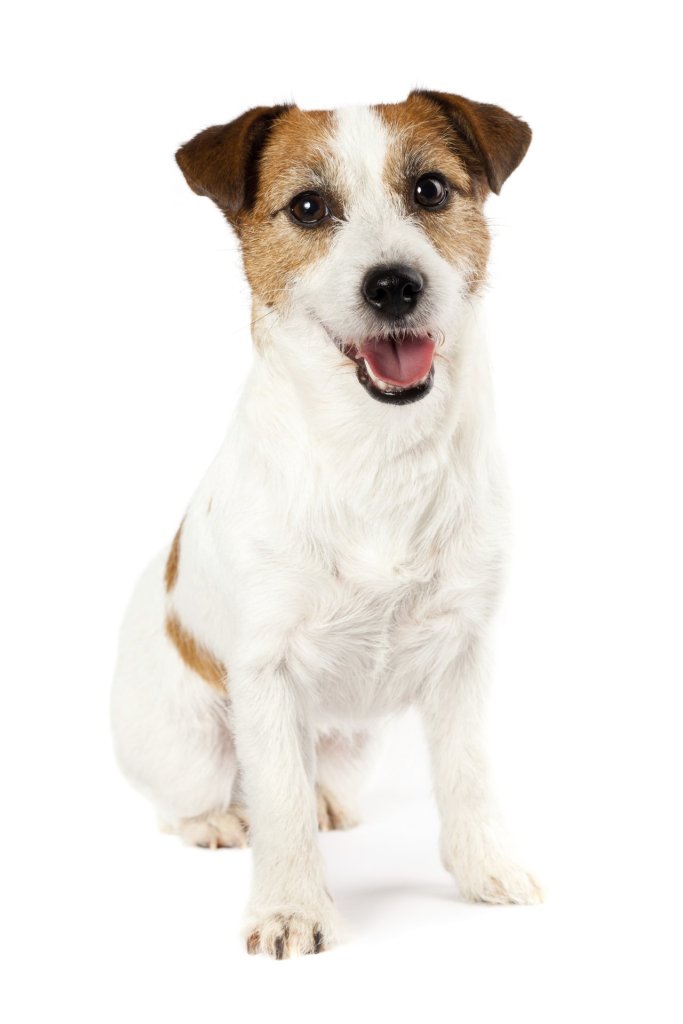 iStock_000017882767_Full