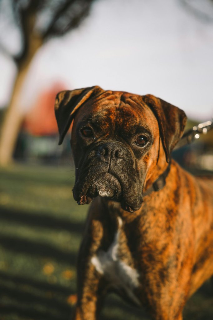 pexels-nicholas-licavoli-5765633