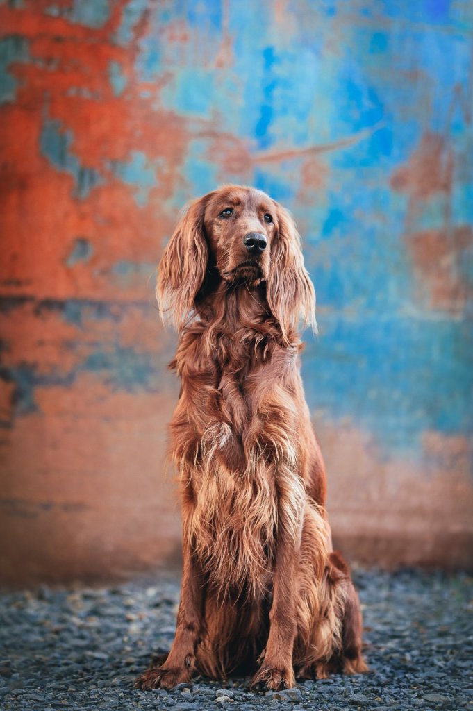 DSC_3986_mrackova.com