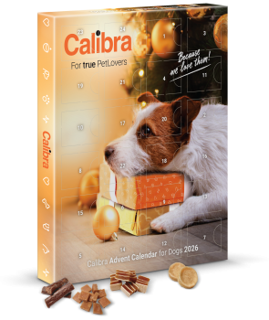 Calibra Dog – Adventný kalendár pre psy 2026