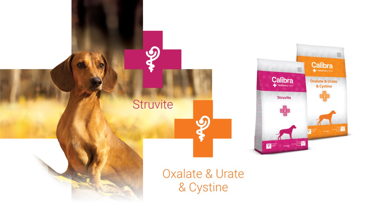 CALIBRA - VD - podklady pro SK - úvodní foto - 7-21 - Struvite&Oxalate