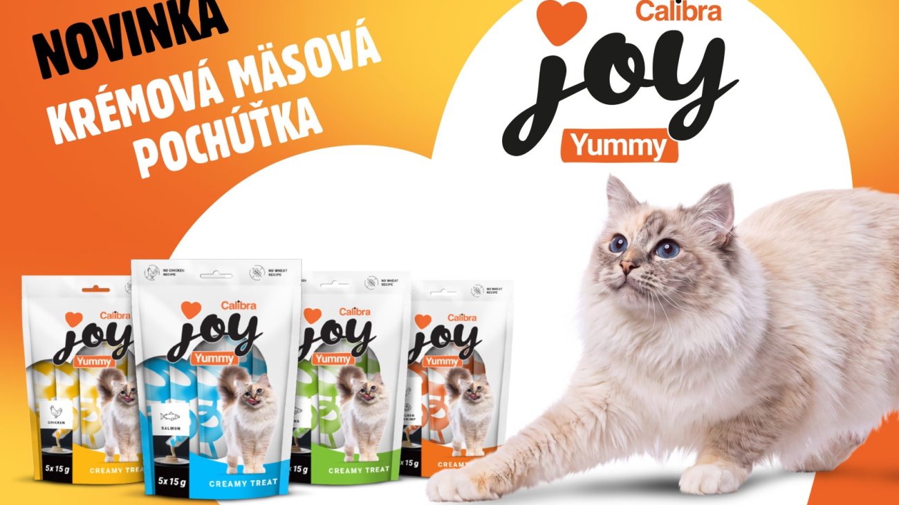 5821-cat-yummy-1660x1064-sk_web_bez_bocniho_ramecku