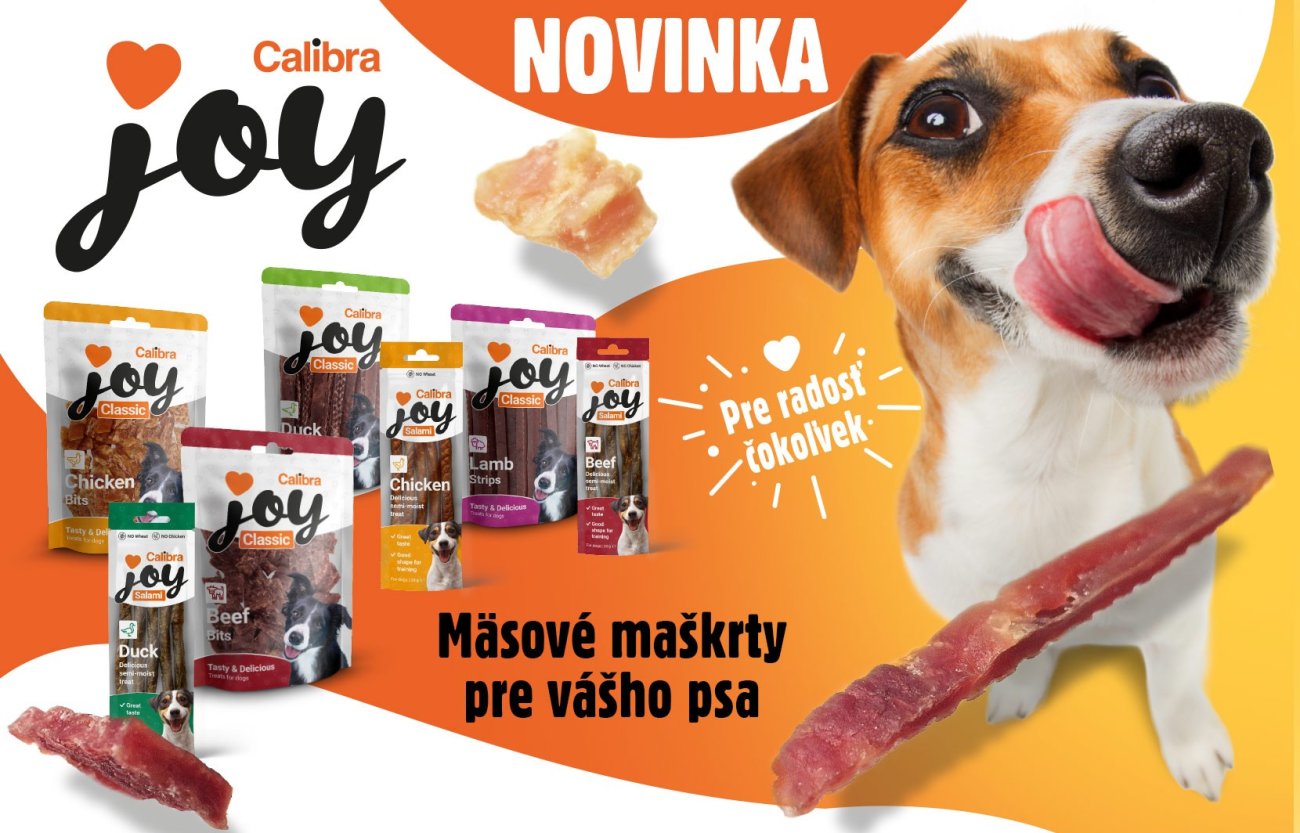 Pes s vyplazeným jazykom a niekoľko balení nových maškŕt Calibra JOY s textom: Novinka, mäsové maškrty pre vášho psa.