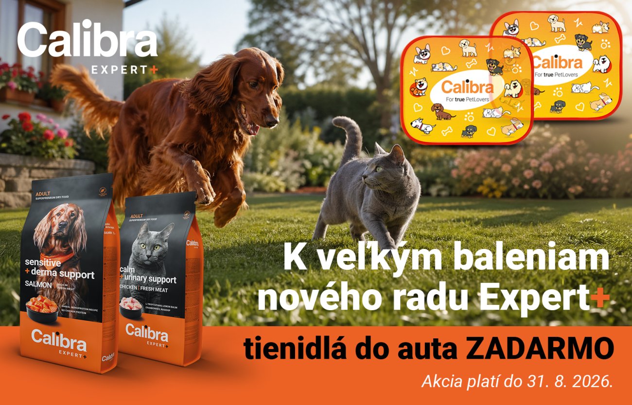 Bežiaci pes a mačka – k veľkému baleniu Expert+  dostanete zadarmo sadu slnečných tienidel do auta. Platí do 31. 8.